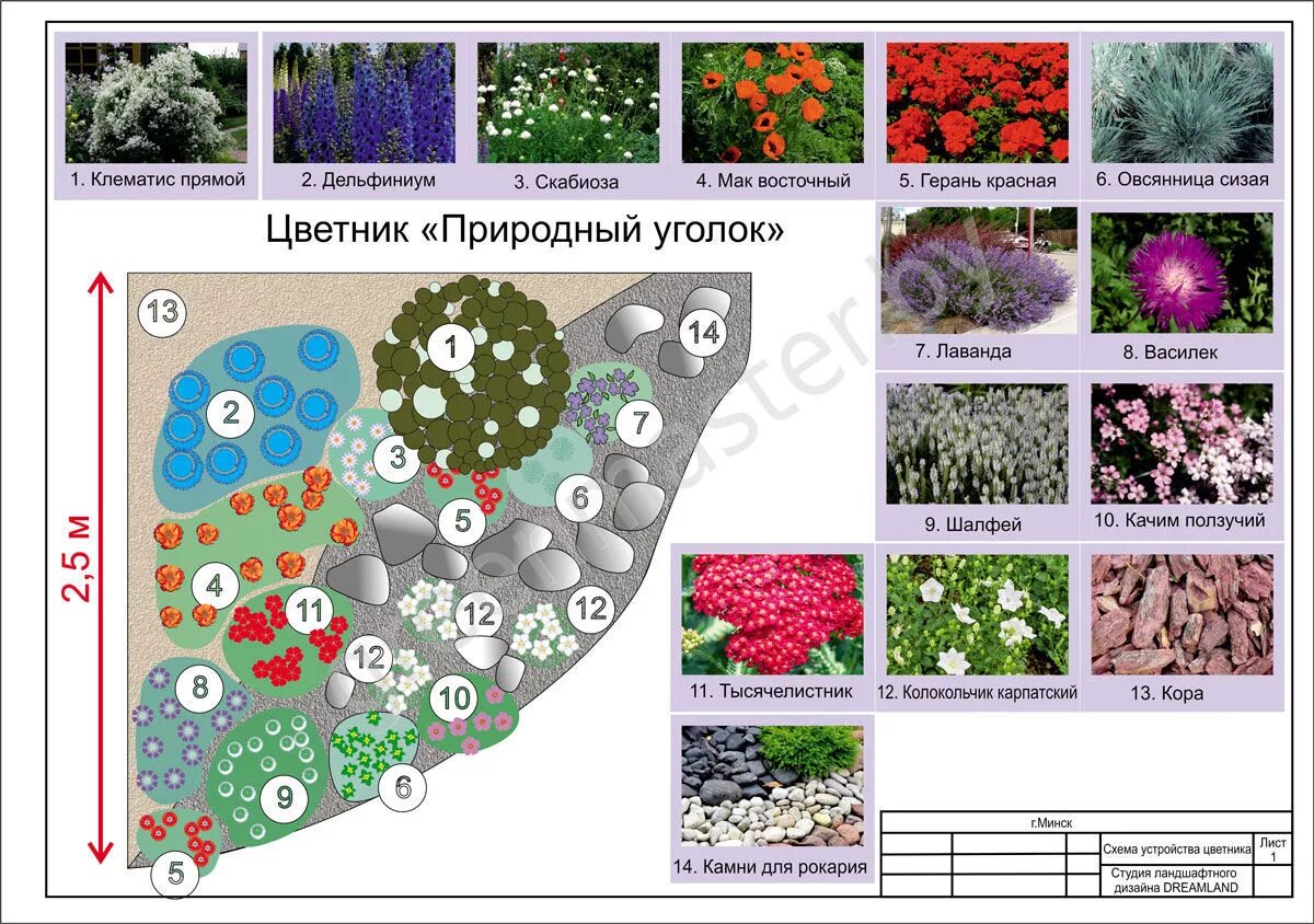 Планировка цветника на участке своими руками Наши работы. Цветники.