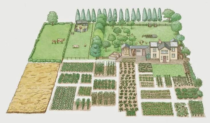 Планировка территории садоводства Whispering Pines MicroFarm: MicroFarming - Overview Self sufficient homestead, A
