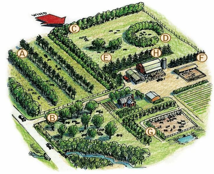 Планировка территорий поселений Working Trees for Livestock, USDA report, 2013. Farm layout, Farm design, Backya