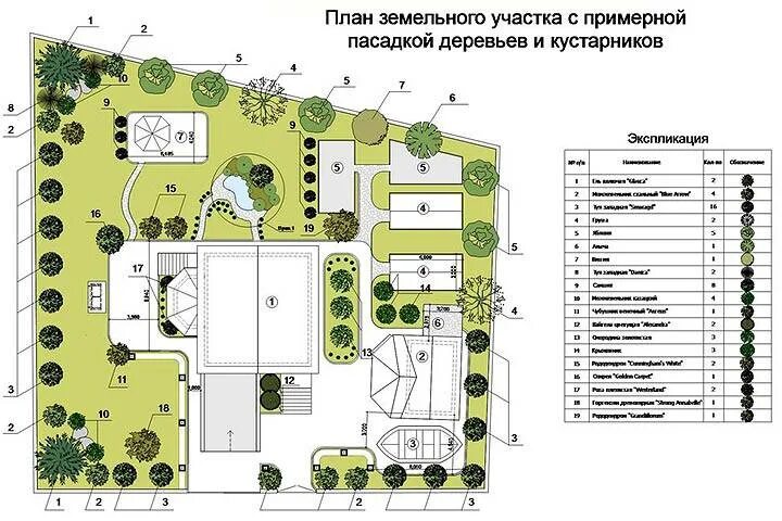 Планировка участка деревья и кустарники Правильная планировка сада: проекты, выбор места, совместимость растений