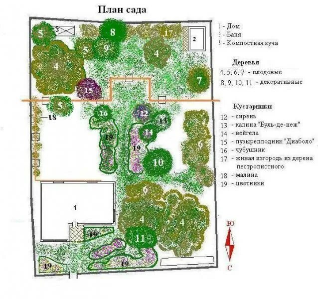 Планировка участка деревья и кустарники Фото-L_miss-План сада