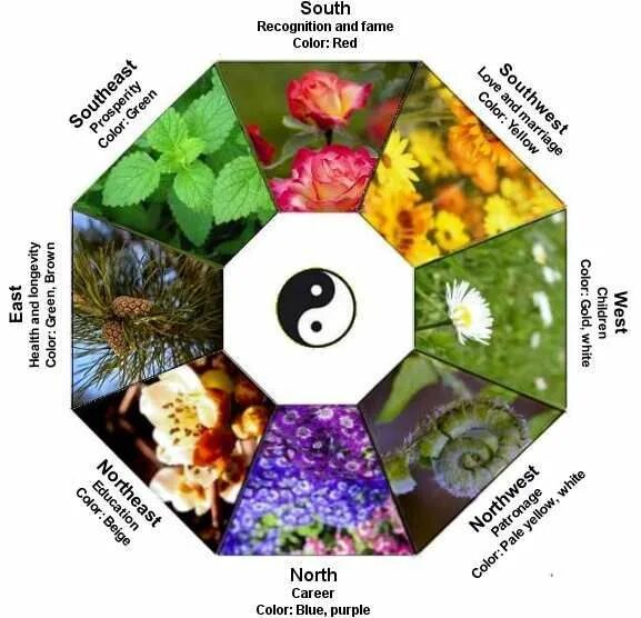 Планировка участка по фен шуй The Ultimate Magic Garden - Feng Shui in Every Corner of Your Garden #ZenGarden 