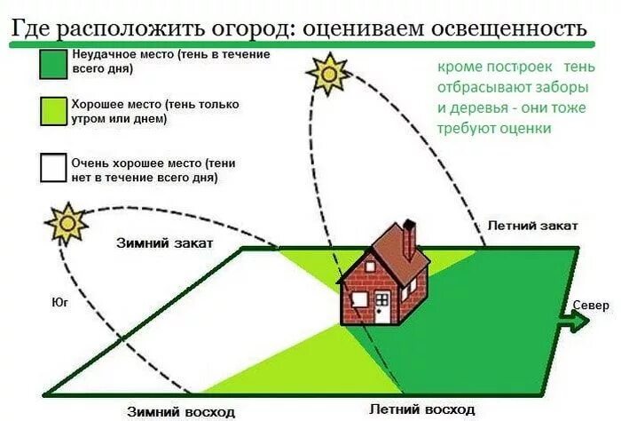 Планировка участка по сторонам света Огород для начинающих: с чего начать закладку грядок Small garden design, Backya