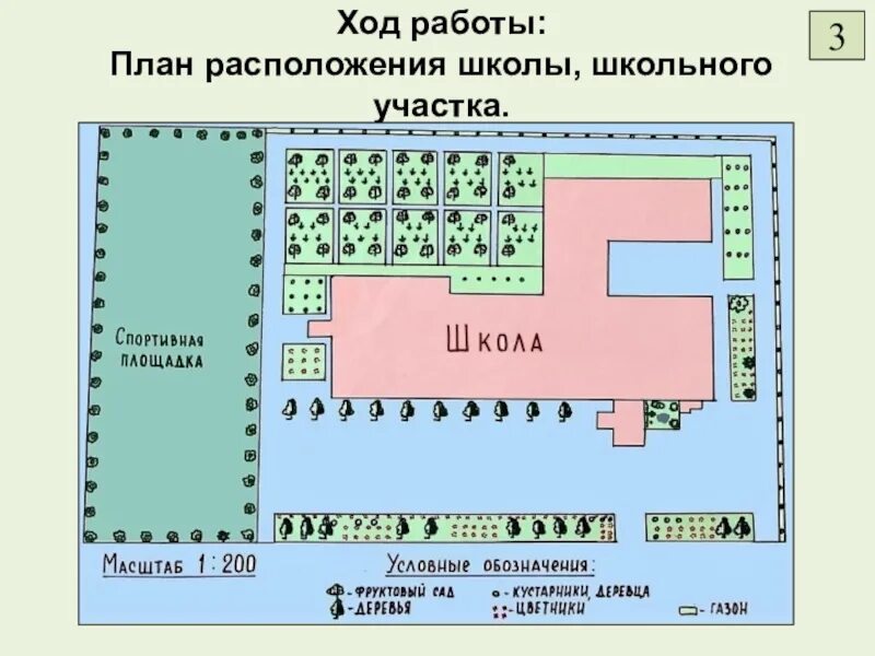 Планировка участка школы Карта территории школы
