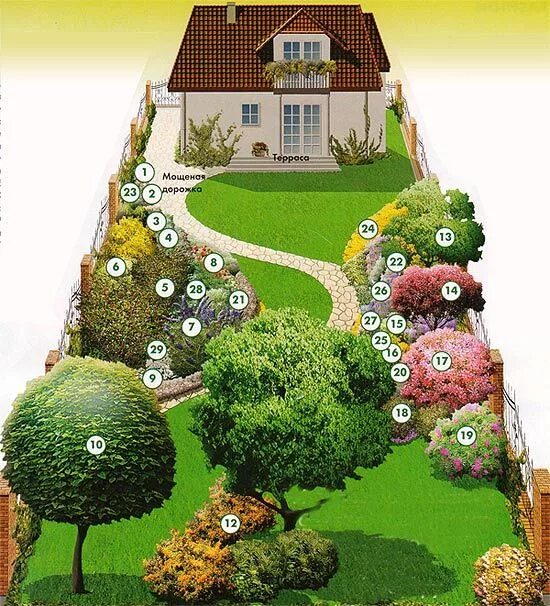 Планировка участка цветами план насаждений на участке какие растения сажать Garden design plans, Backyard g