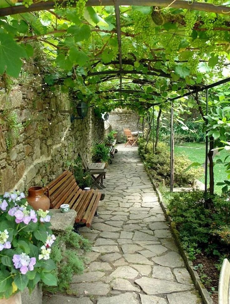 Планировка виноградника на участке Home interior design - ABC Homy Walkway landscaping, Outdoor landscaping ideas b