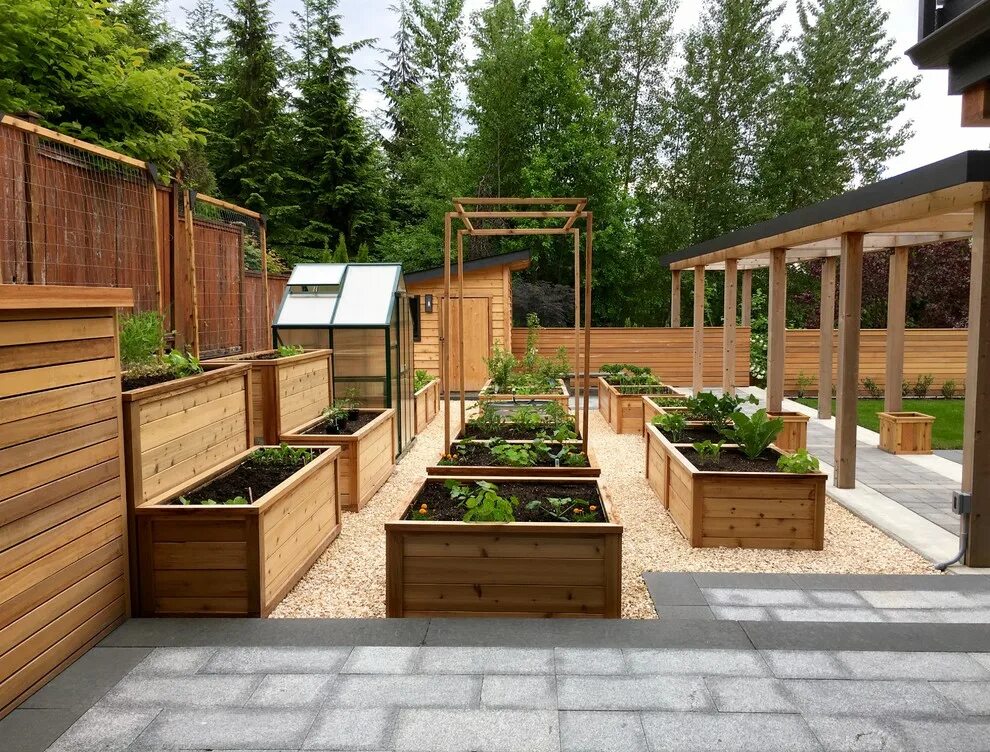 Планировка высоких грядок на участке Grow zone wider view from patio - built - Кантри - Сад - Ванкувер - от эксперта 