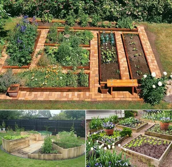 Планировка высоких грядок на участке 22 Ways for Growing a Successful Vegetable Garden Amenagement jardin, Design de 