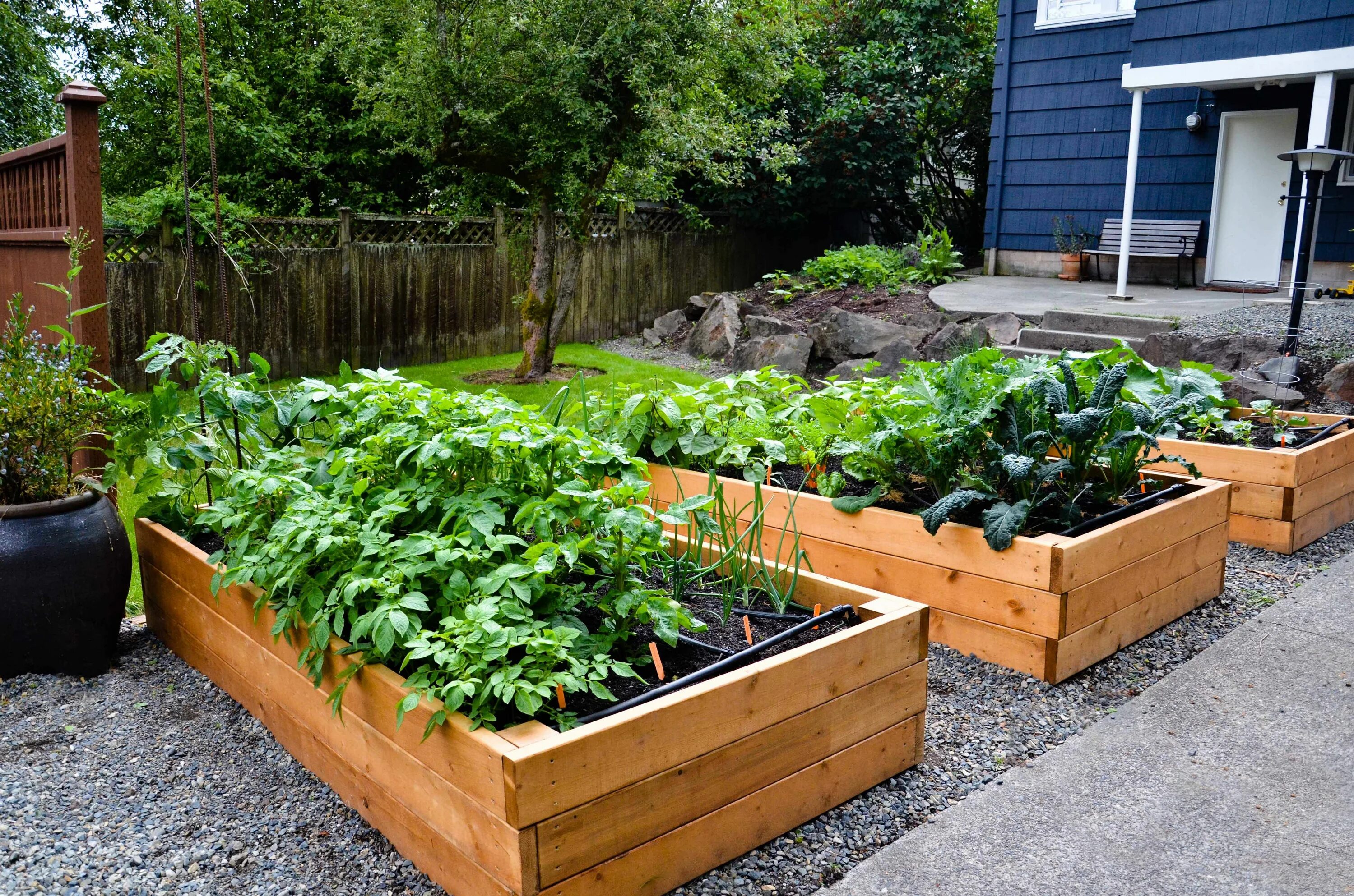 Планировка высоких грядок на участке Nice wood raised beds, I like the simple design. (With images) Diy raised garden
