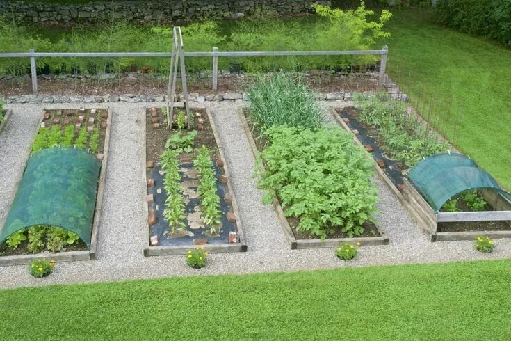 Планировка высоких грядок на участке The Second Half Vegetable garden raised beds, Vegetable garden for beginners, Ga