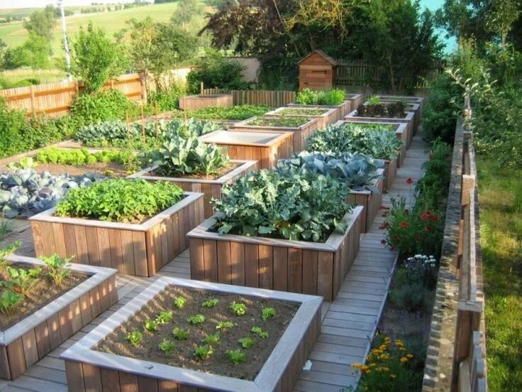 Планировка высоких грядок на участке Comment organiser son potager en début d’année ? Vegetable garden design, Potage