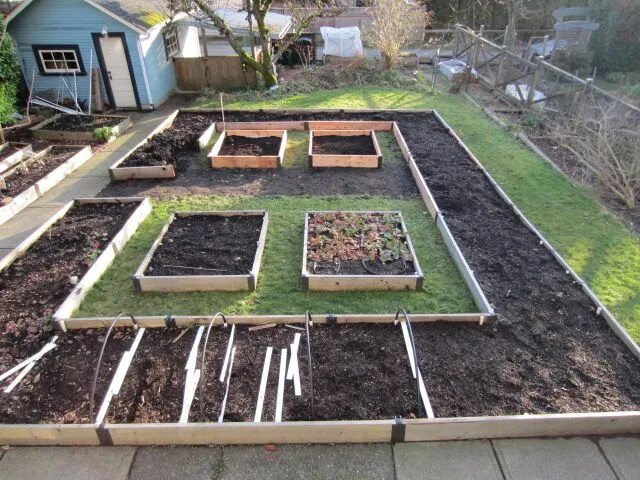 Планировка высоких грядок на участке Work in progress Garden layout, Building a raised garden, Garden bed layout
