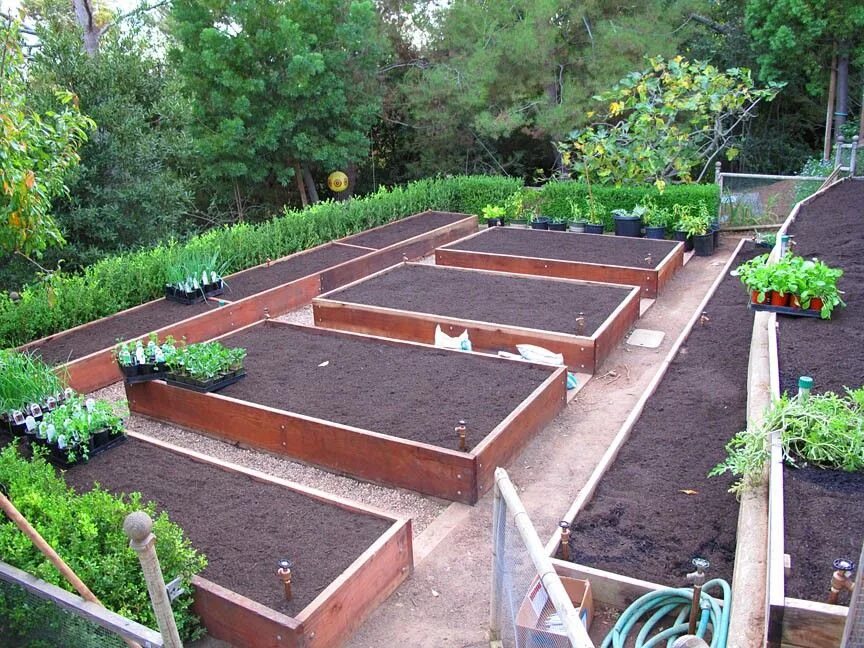 Планировка высоких грядок на участке Pam Rownak Herb & Kitchen Gardens Garden layout vegetable, Vegetable garden desi