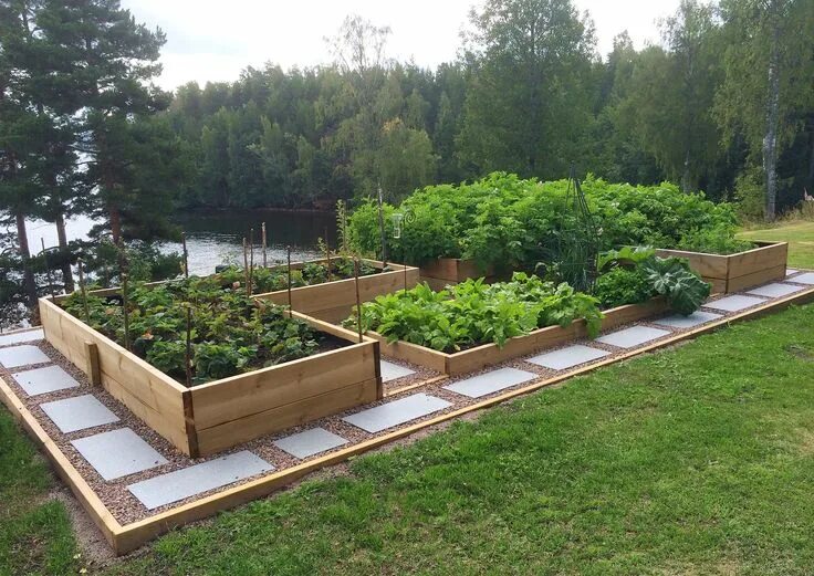 Планировка высоких грядок на участке skiffer i grusyta - Google-søk Vegetable garden planning, Garden planning, Veget