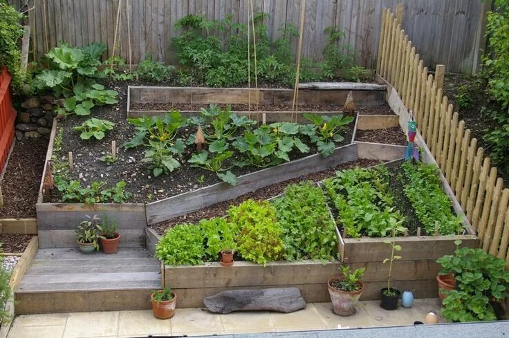 Планировка высоких грядок на участке Terraced garden Vegetable garden design, Small vegetable gardens, Small garden
