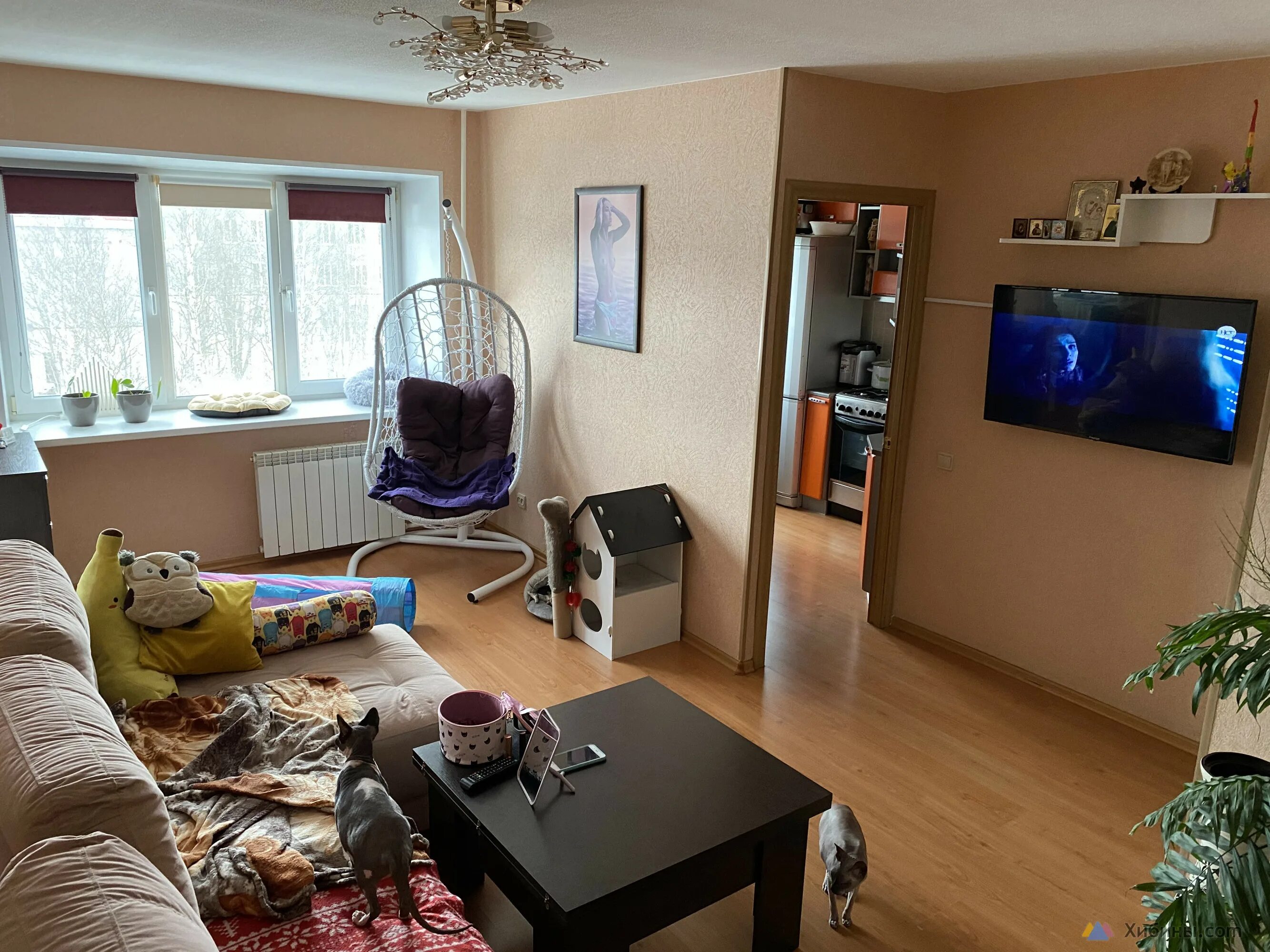 Планировки квартир апатиты Продам 2-комнатную квартиру, 44 м2, 4/5 эт в Апатитах ул.Ленина д.9а за 2600000 
