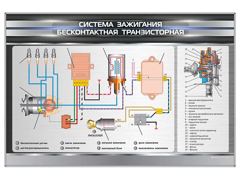 Подключение бесконтактной системы зажигания Электрифицированный светодинамический стенд "Система зажигания бесконтактная тра