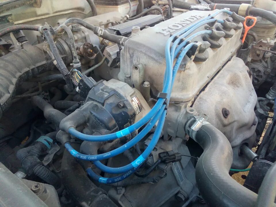 Подключение бронепроводов honda crv rd 1 Замена крышки трамблёра - Honda Integra (DC1/DC2), 1,6 л, 1996 года своими рукам