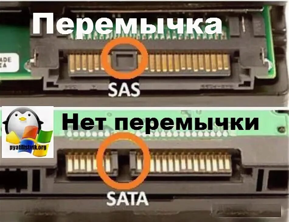 Подключение sas дисков к домашнему компьютеру Как подключить SAS диск через SATA Настройка серверов windows и linux