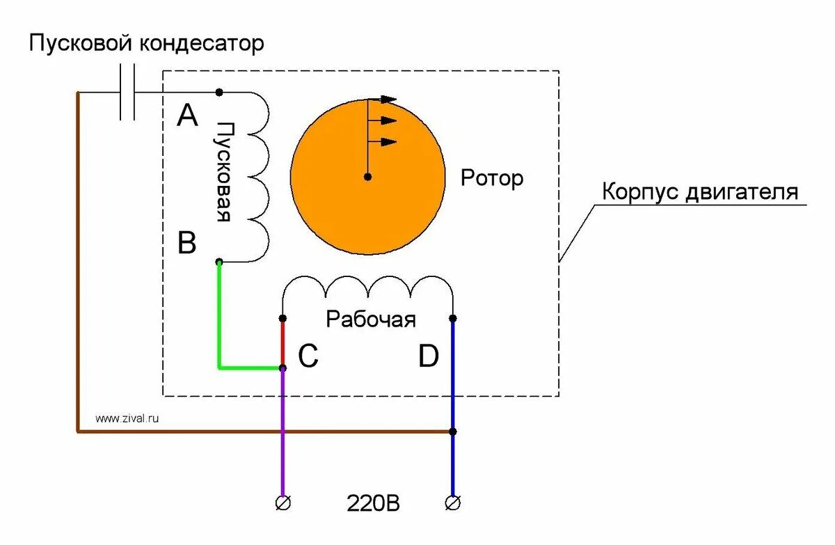 Подключение щеточного двигателя 220в Однофазный двигатель насоса. Разбираем понятие... Все о насосах и даже больше! Д