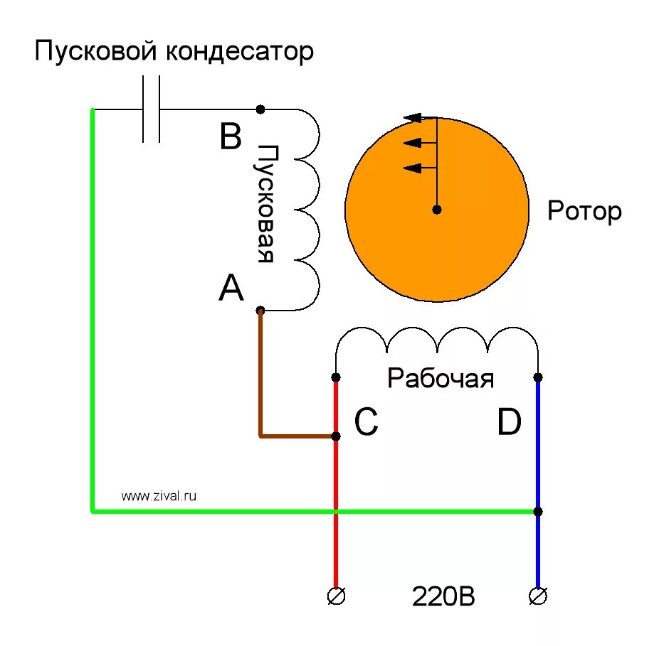 Подключение щеточного двигателя 220в Как изменить направление вращения однофазного асинхронного двигателя Ремонт торг