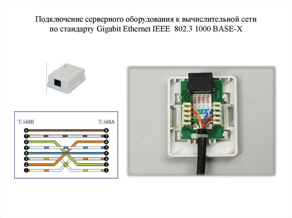 Подключение сетевой розетки rj 45 Как подключить интернет розетку и коннектор: фото, видео