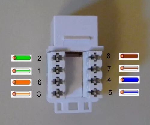 Подключение сетевой розетки rj 45 Data Wiring Cat6