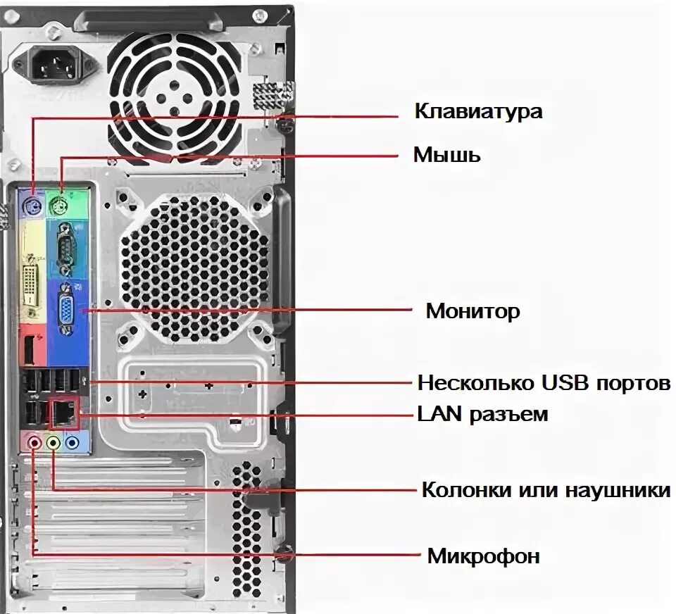 Подключение шнуров к системному блоку НОУ ИНТУИТ Основы компьютерной грамотности. Лекция 1: Что такое компьютер?