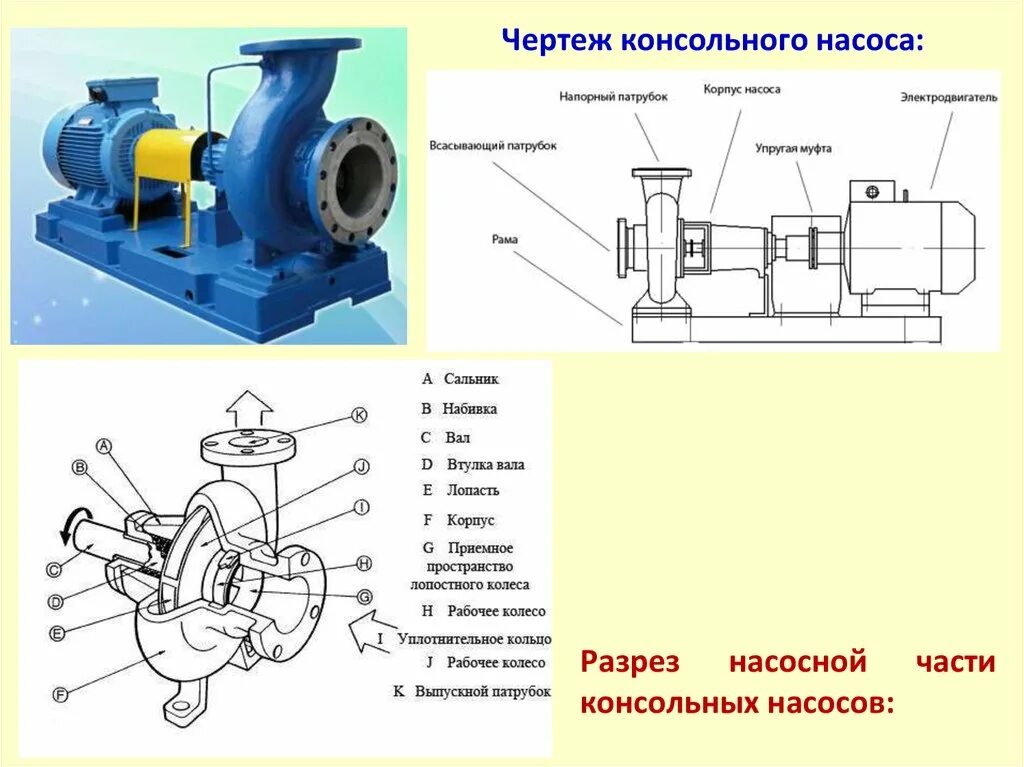 Подключение центробежного насоса Назначение насоса фото - DelaDom.ru