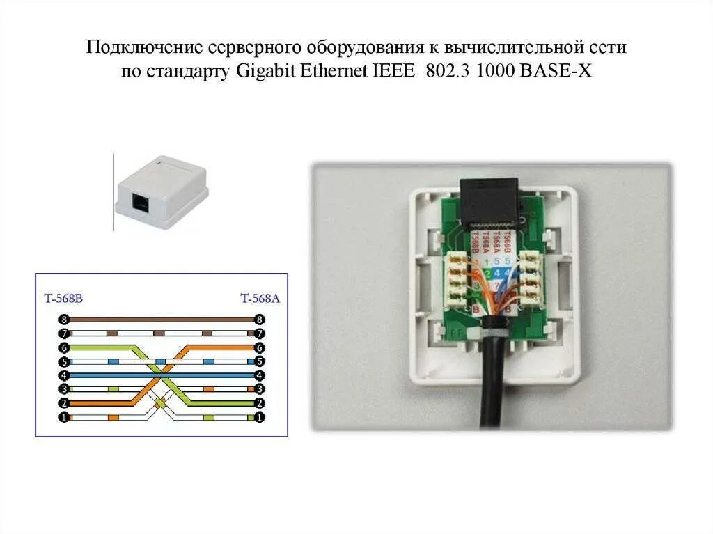 Подключение телефона витой парой Как установить и подключить интернет розетку, телевизионную розетку и телефонную