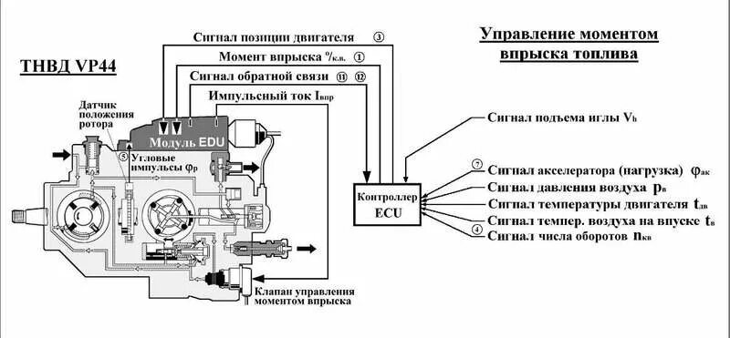 Подключение топлива насоса vp44 опель старый сайт... :: Просмотр темы - ТНВД VP-44 Схема-устройство насоса.