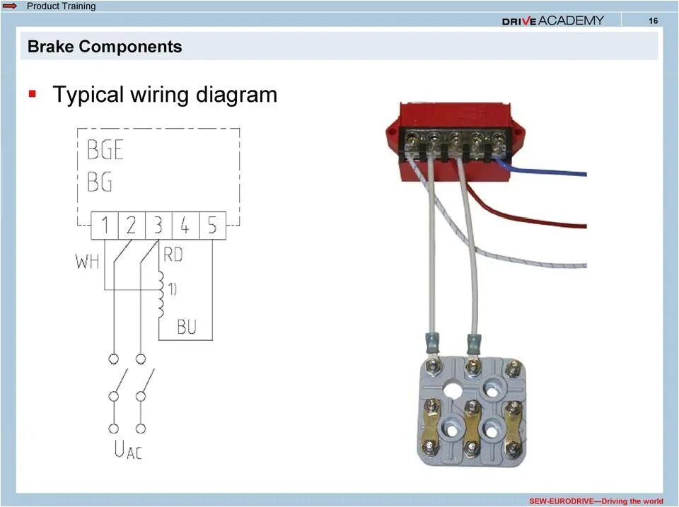 Подключение тормоза двигателя Sew Eurodrive Motor Wiring Diagram Eurodrive Wiring Diagrams Wiring Diagram Mega