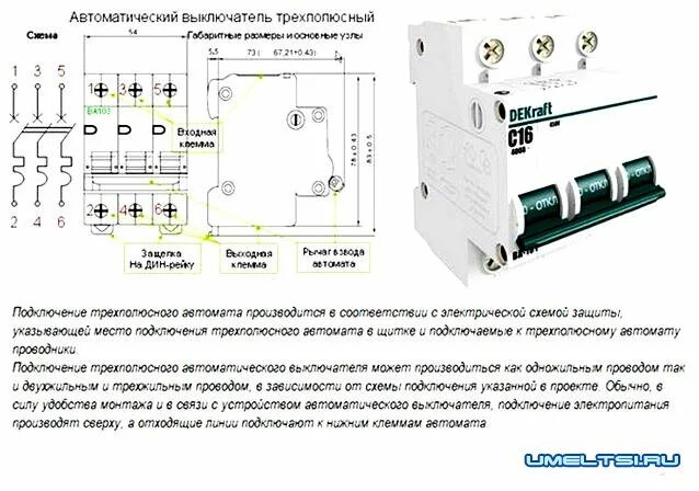 Подключение трехполюсного автомата Автоматические выключатели для Автоматические выключатели для квартиры: особенно