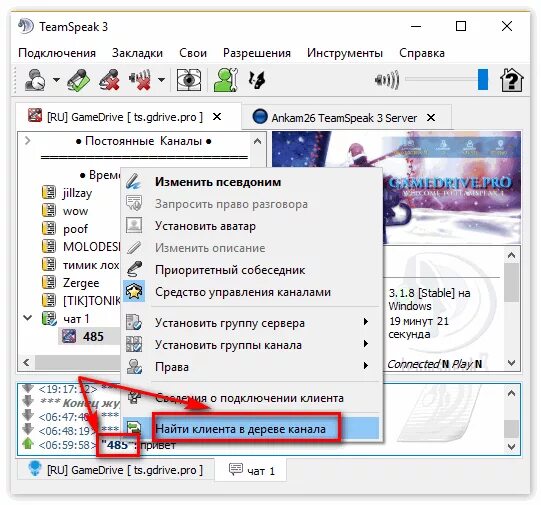 Подключение тс 3 Средство управления каналами TeamSpeak 3