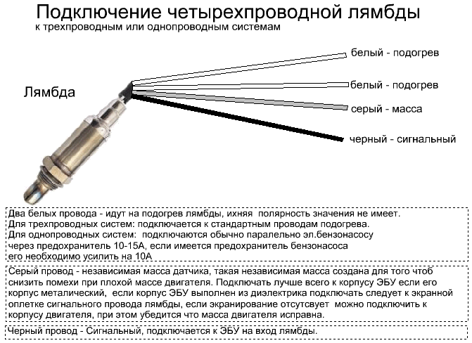 Подключение универсального датчика кислорода FAQ Подключение четырехпроводной лямбды - Fiat Tipo & Tempra Форум