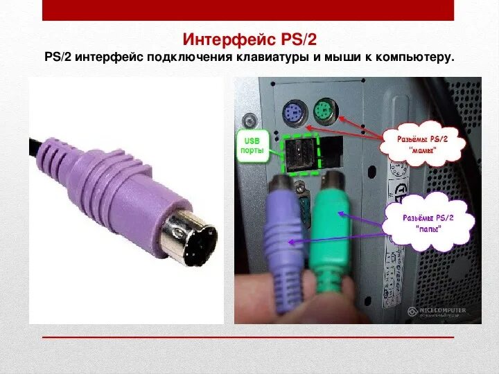 Подключение usb клавиатуры к компьютеру Презентация на тему "Основные компоненты и интерфейсы материнской платы"