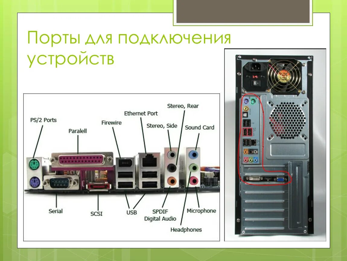 Подключение устройств через интерфейс Информатика_10класс_Периферийные устройства_Презентация (2)