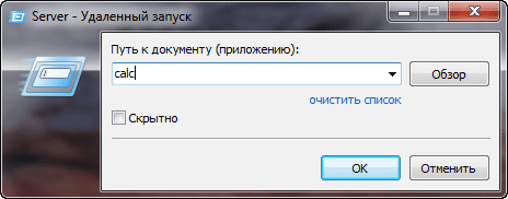 Подключение в режиме удаленного Использование RMS Удаленный доступ Режимы соединения Запуск программ