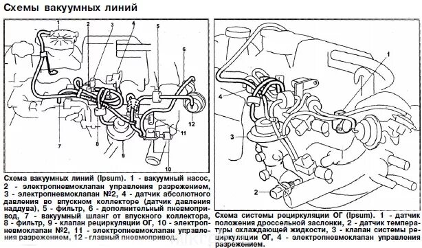 Подключение вакуумные трубки 4d56 делика 3 поколения Подключение вакуумных трубок - Клуб любителей микроавтобусов и минивэнов