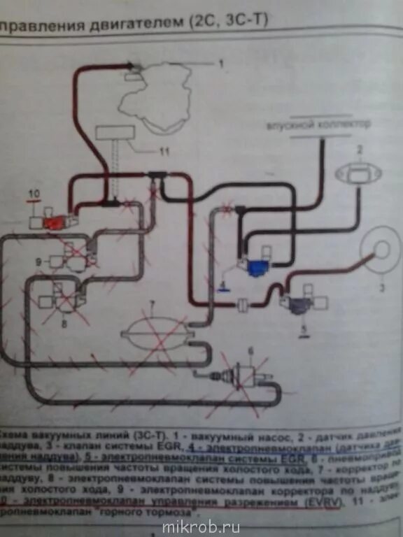 Подключение вакуумных трубок на двигателе Вакуумные шланги на 3CT-E, схема подключения - Клуб любителей микроавтобусов и м