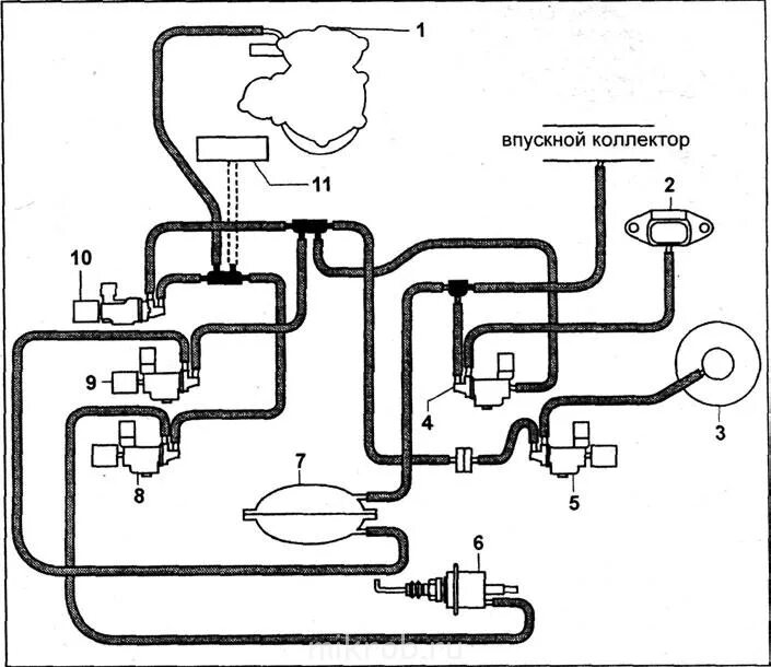 Подключение вакуумных трубок на двигателе Вакумная система. - Страница 2 - Клуб любителей микроавтобусов и минивэнов