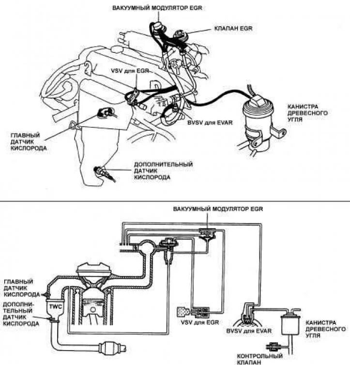 Подключение вакуумных трубок на двигателе General information about the toxicity control system (Toyota Camry XV10, 1991-1