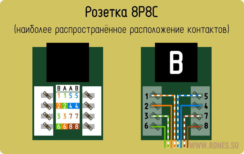 Подключение витой пары 8 к розетке Модульный коннектор 8P8C "RJ45"