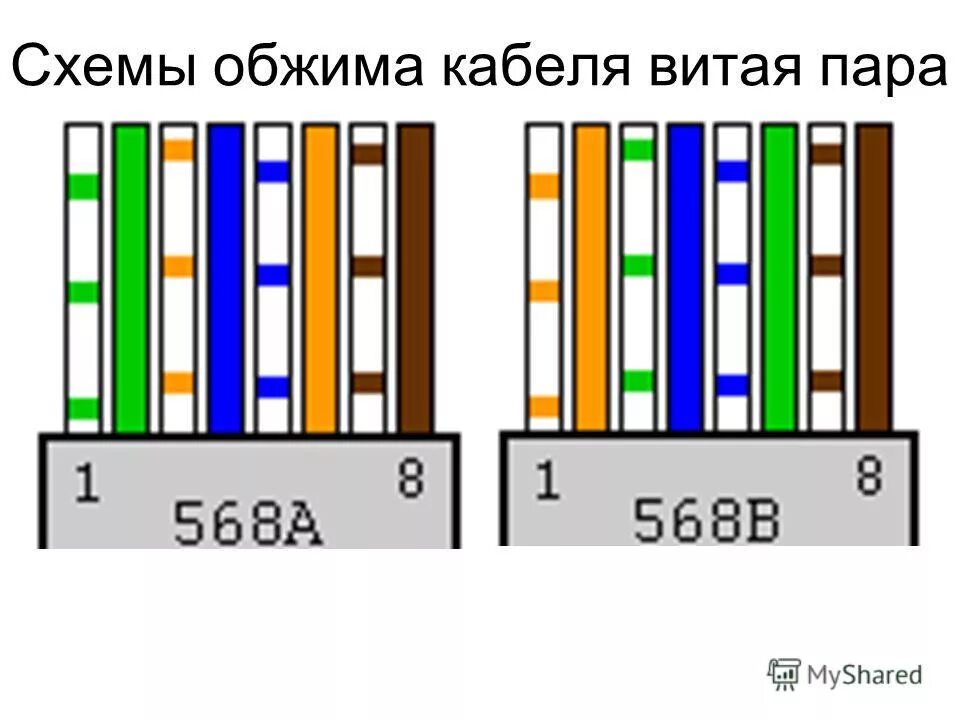 Порядок проводов в витой паре фото - DelaDom.ru