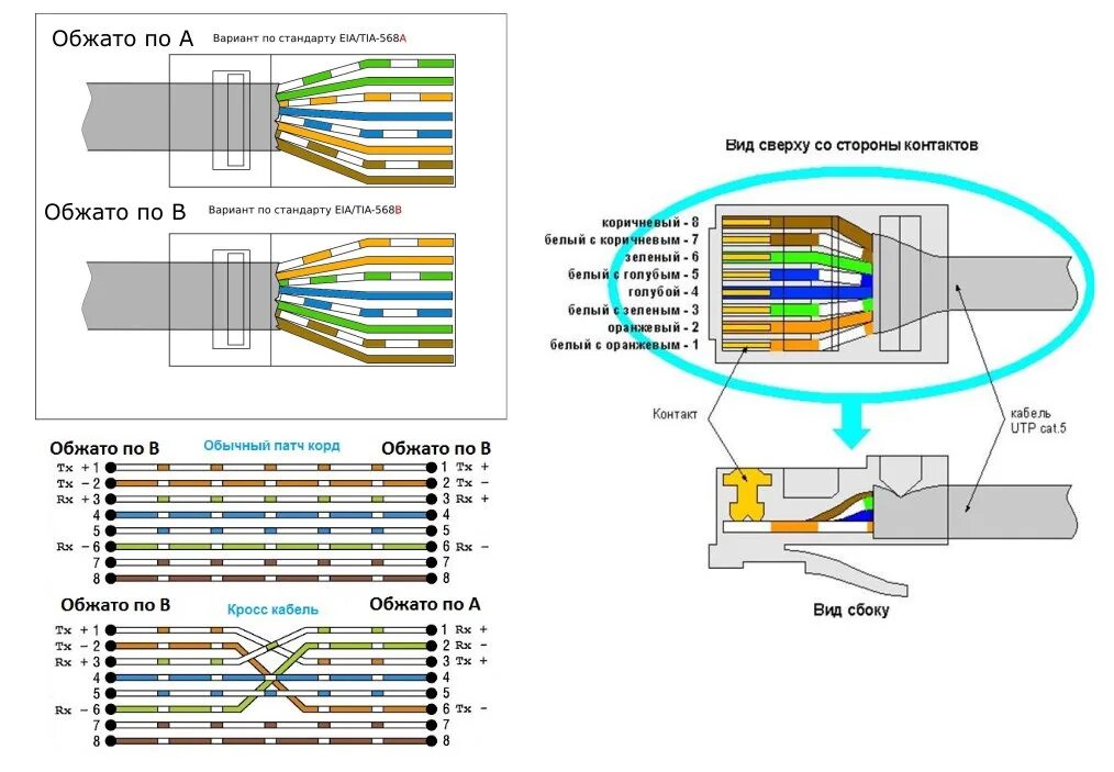 Подключение витой пары 8 провода схема Витая пара цвета обжима фото - DelaDom.ru