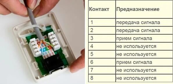 Подключение витой пары к розетке Как подключить интернет-розетку - схемы подключения и распиновки