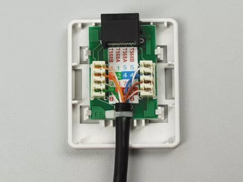 Подключение витой пары к розетке шнайдер RJ45 муфта/соединитель. Полезная? мелочь занедорого.