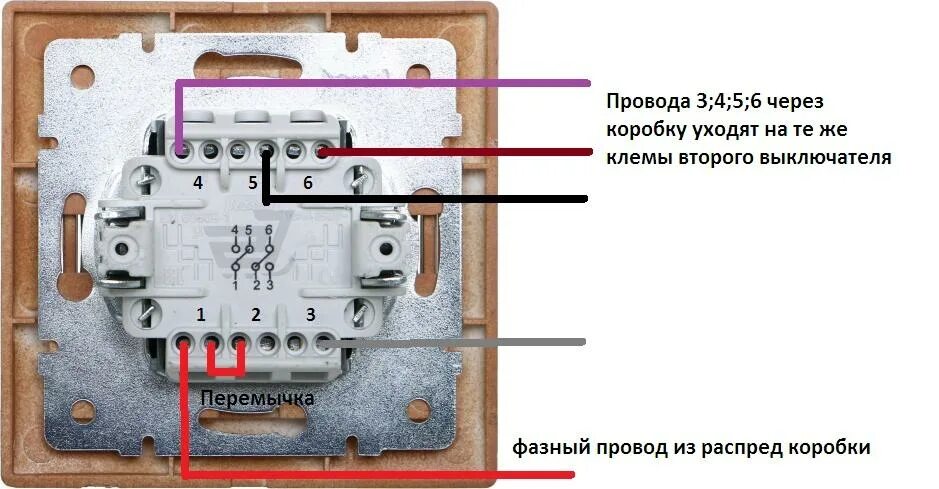 Подключение выключателя lexman 1 клавиша Как подключить двухклавишный выключатель: инструкция схема подключения + фото