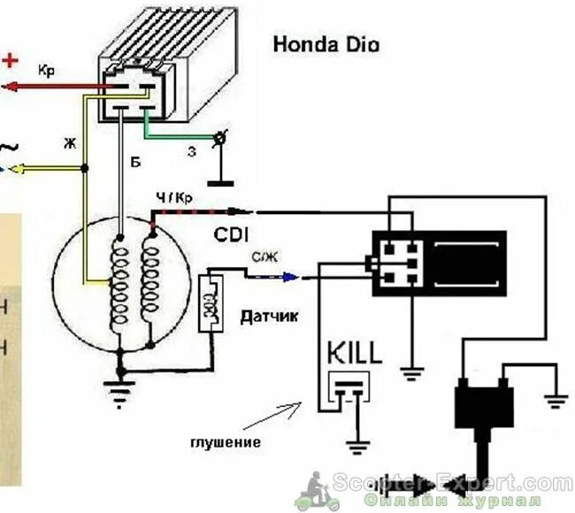 Подключение зажигания альфа Как работает система зажигания на скутере Honda Dio 18-27 - Скутер-эксперт Motor