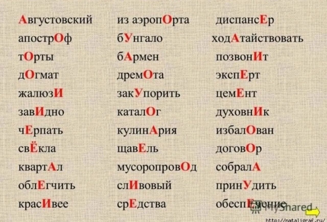 Подключит или подключит ударение как правильно Какие ударения неправильные: найдено 85 изображений